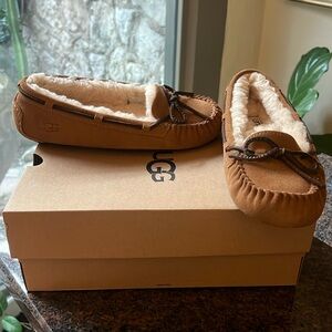 Never been worn Ugg Women’s Dakota Wool-Lined Suede Moccasin